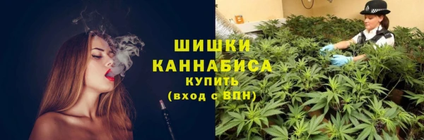 ECSTASY Семикаракорск