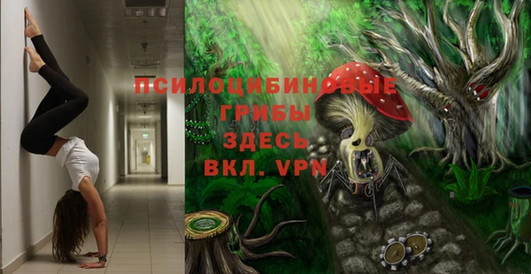 a pvp Абаза
